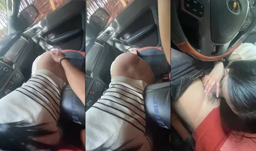 Em bú cu thỏa mãn cơn nứng với anh khi dừng xe ở rừng cao su